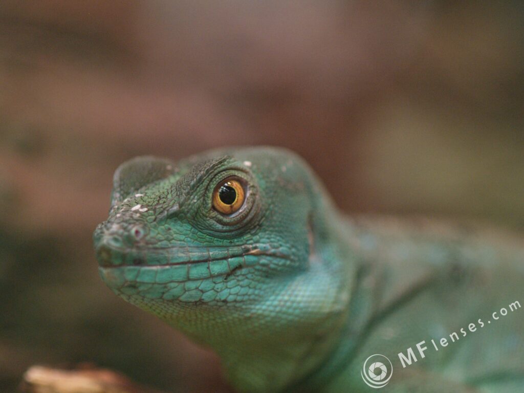 Tamron SP 90mm f2.5 52B-3824