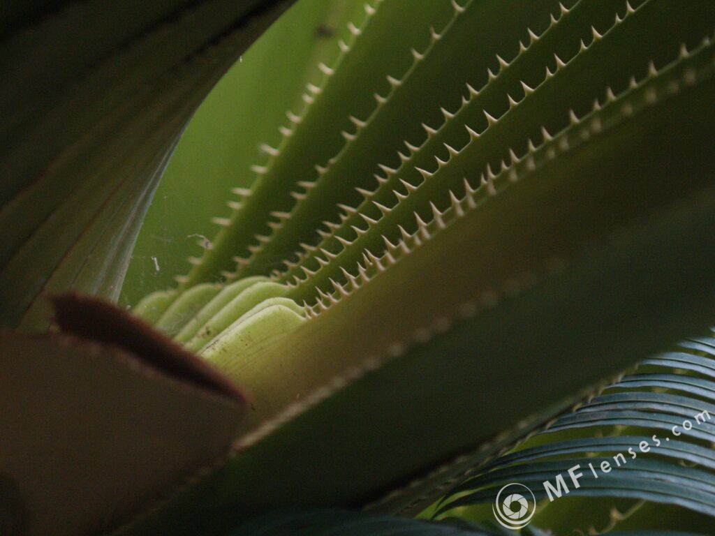Tamron SP 90mm f2.5 52B-3825