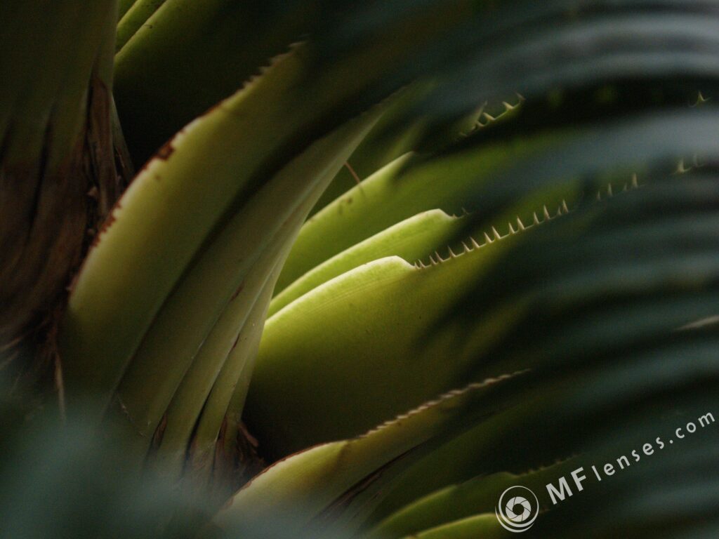 Tamron SP 90mm f2.5 52B-3826