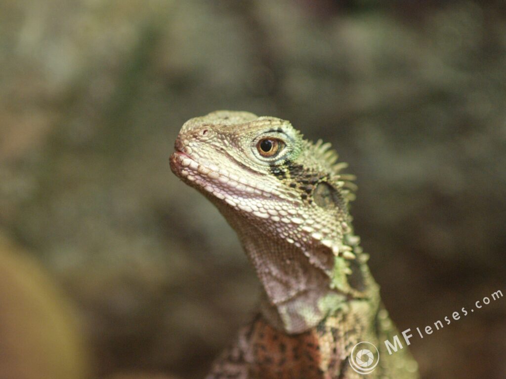 Tamron SP 90mm f2.5 52B-3828