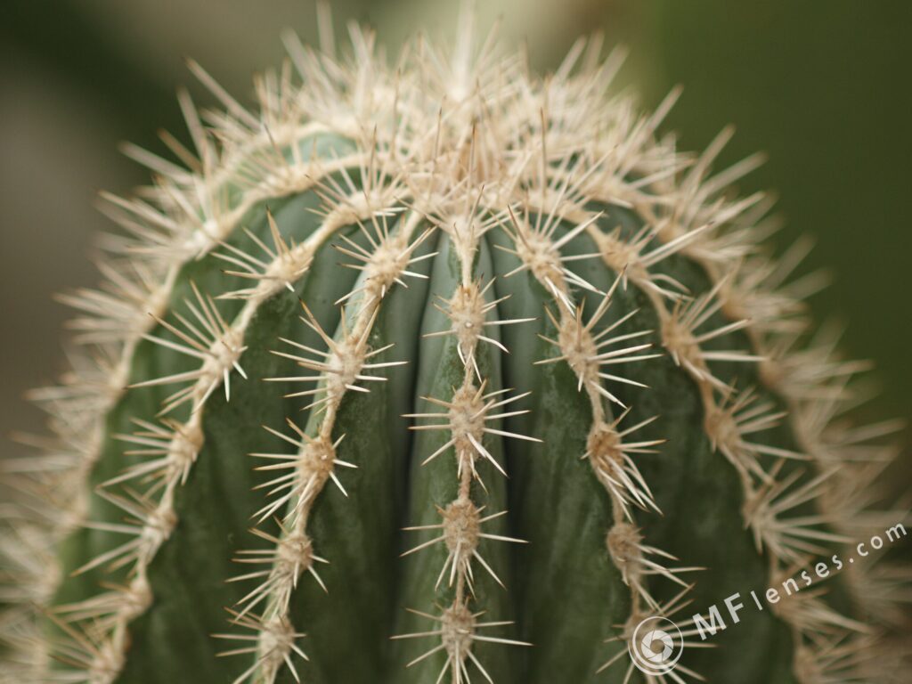 Tamron SP 90mm f2.5 52B-3829