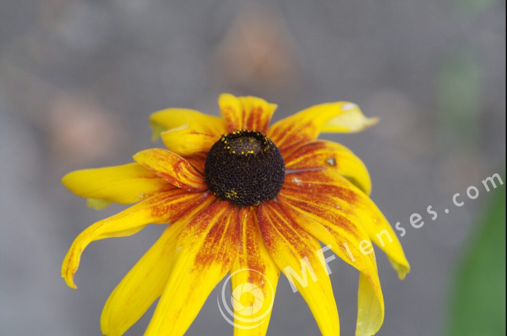Tamron SP 70-210mm f/3.5-4 52A Macro 1:2-385