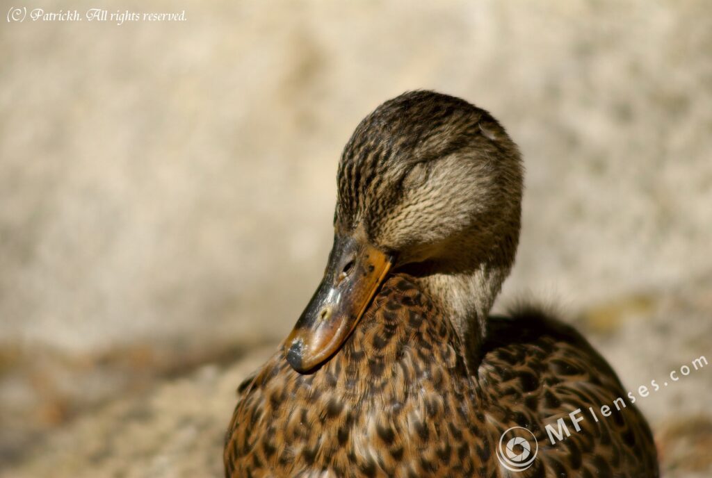 Tokina 400mm f5.6-3078