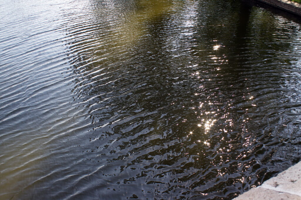 Kiron 24mm f2.0 Sony NEX-10947