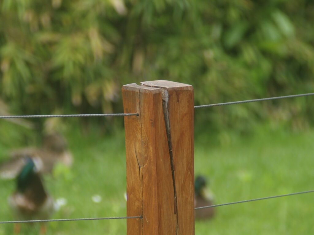Komura 135mm f3.5-4539