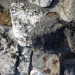 Konica 40mm f1.8 SONY NEX-3-10438