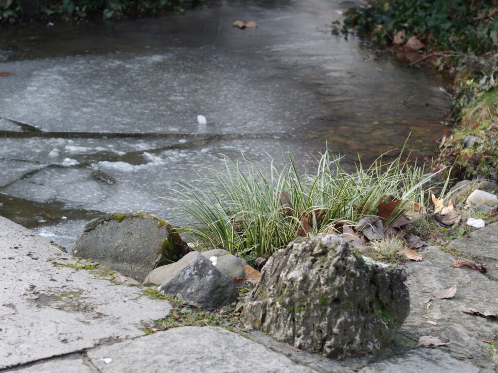 Konica 57mm f1.2-6883