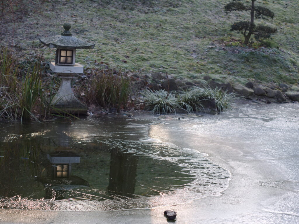 Konica 57mm f1.2-6885