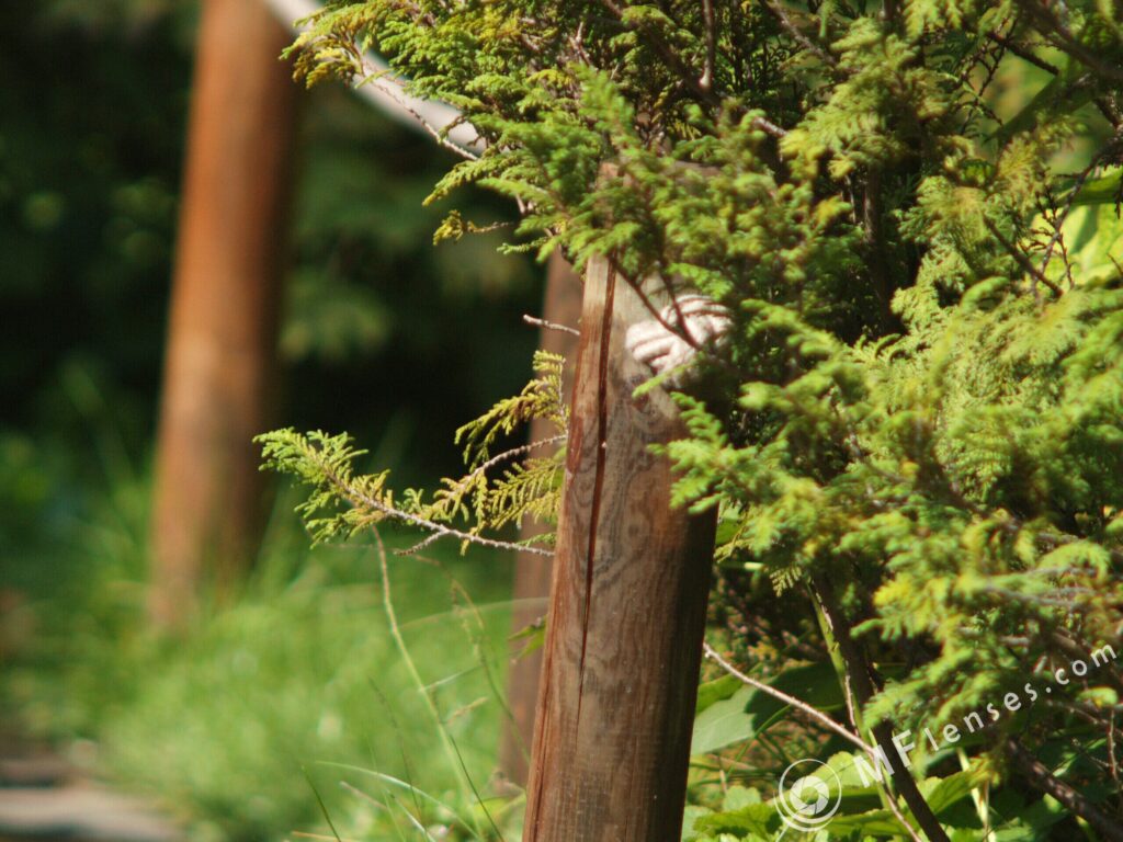 4.5/300mm Hexanon Konica AR-3047