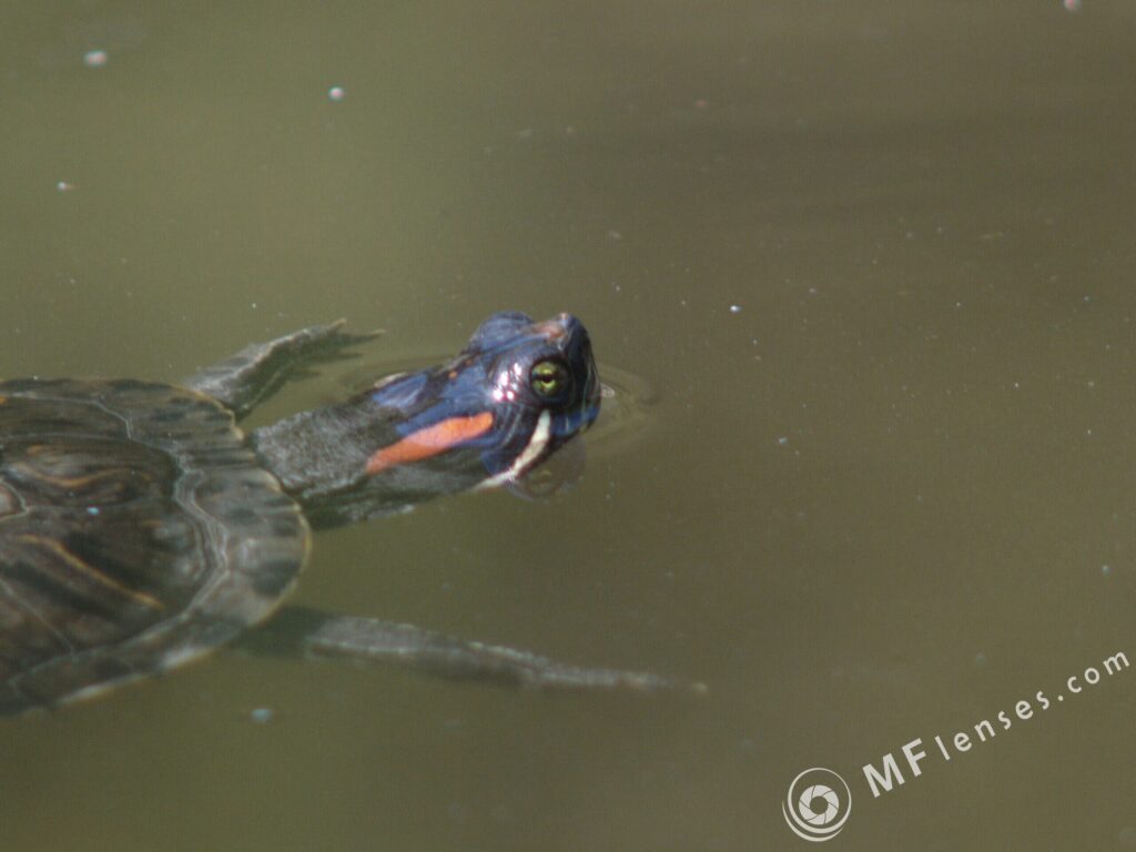 4.5/300mm Hexanon Konica AR-3051