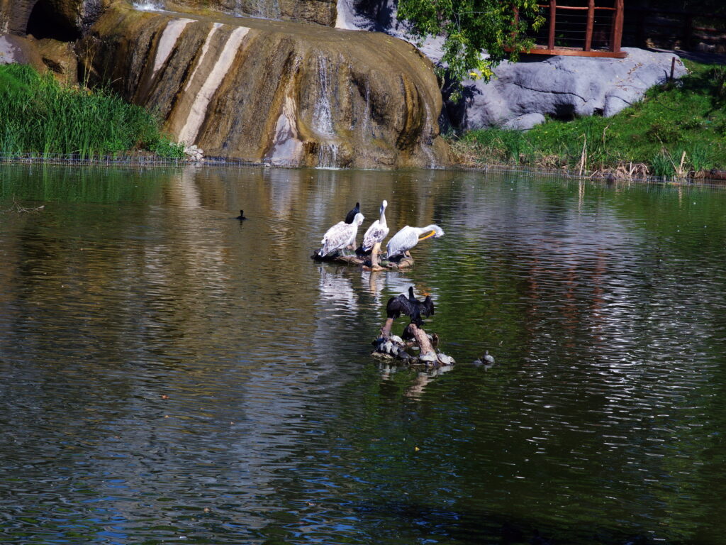 Konica Varifocal Hexanon 35-100mm f2.8-7801