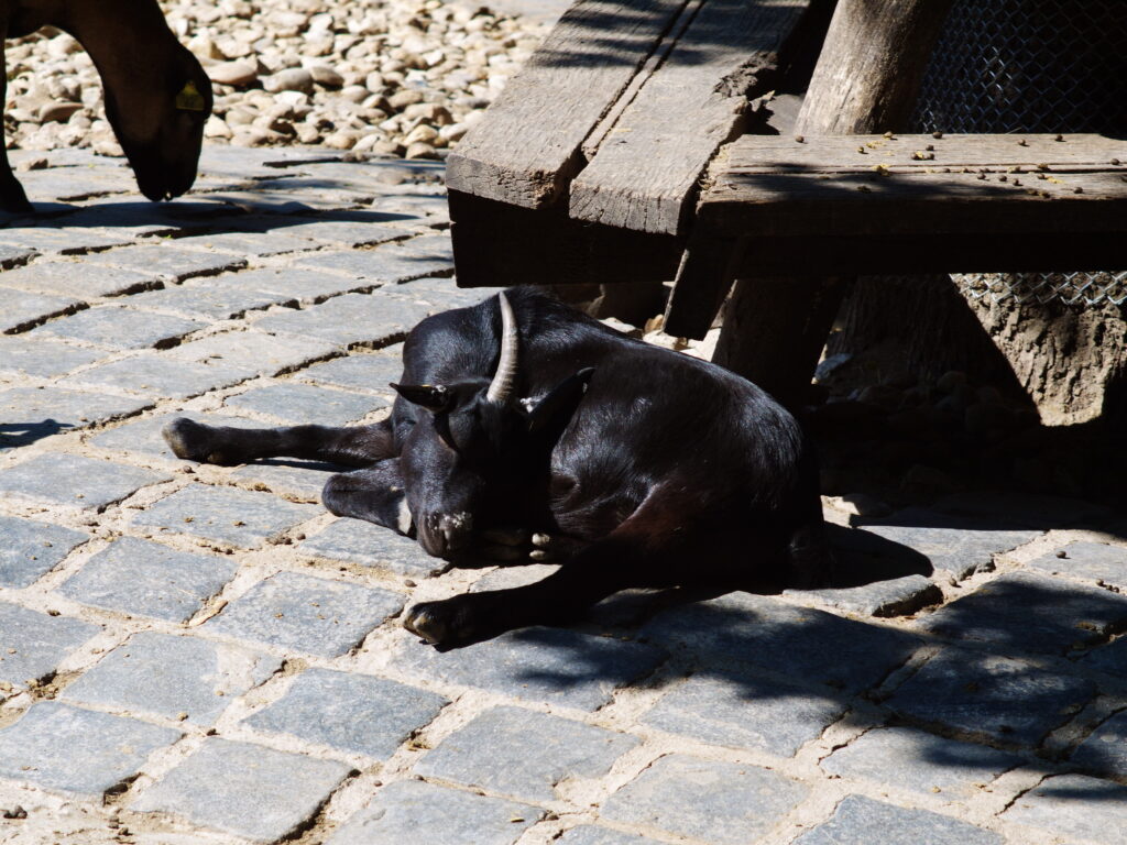 Konica Varifocal Hexanon 35-100mm f2.8-7809