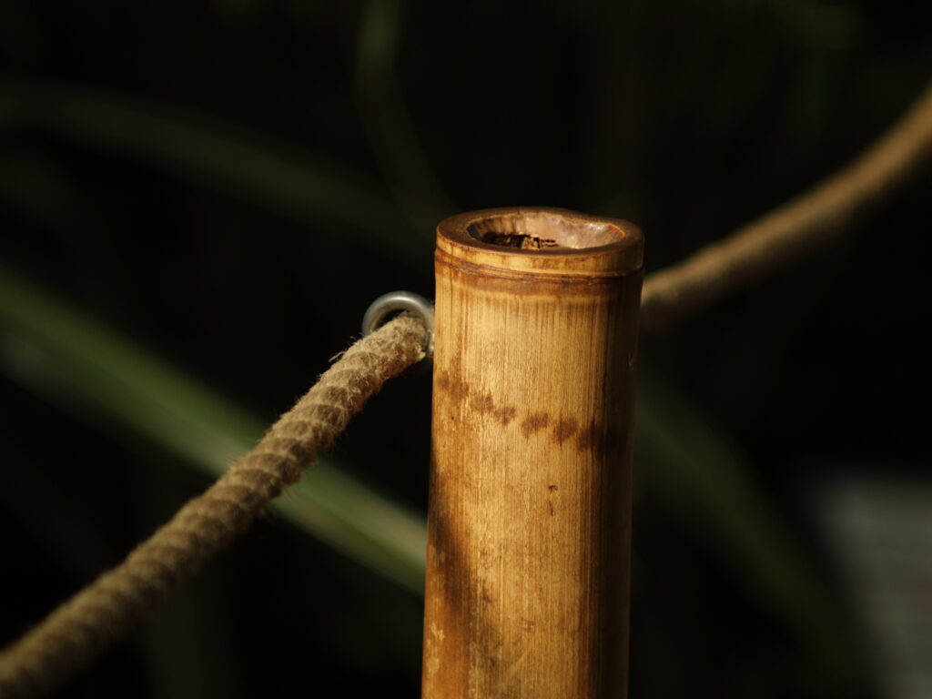 Minolta Tele Rokkor 1:2 f=100mm MC MD-4582