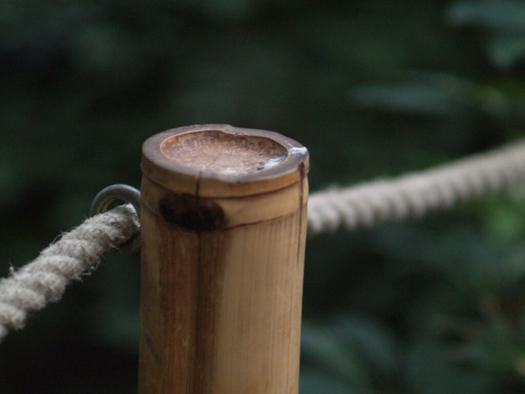 Minolta Tele Rokkor 1:2 f=100mm MC MD-4053