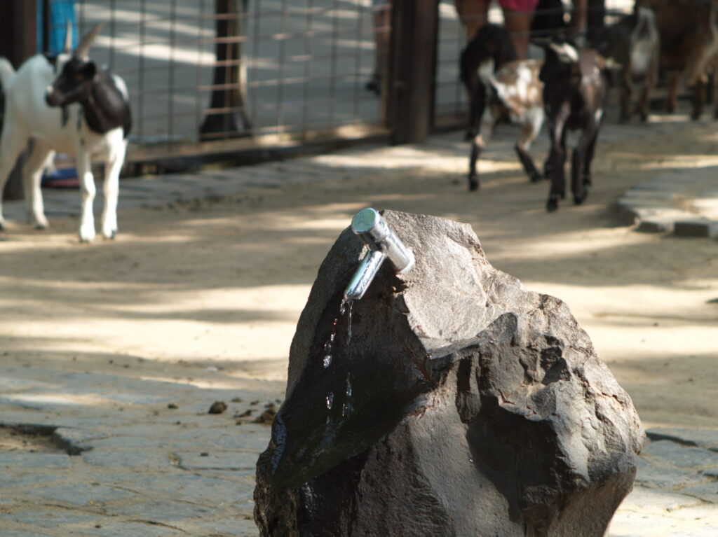 2.5/100mm MC Rokkor Minolta MD-4553