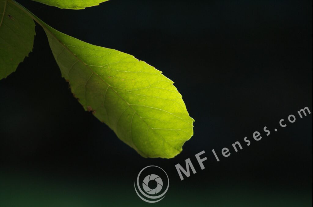 Nikkor 200mm f/4 AI-336
