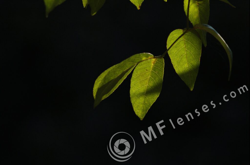 Nikkor 200mm f/4 AI-337