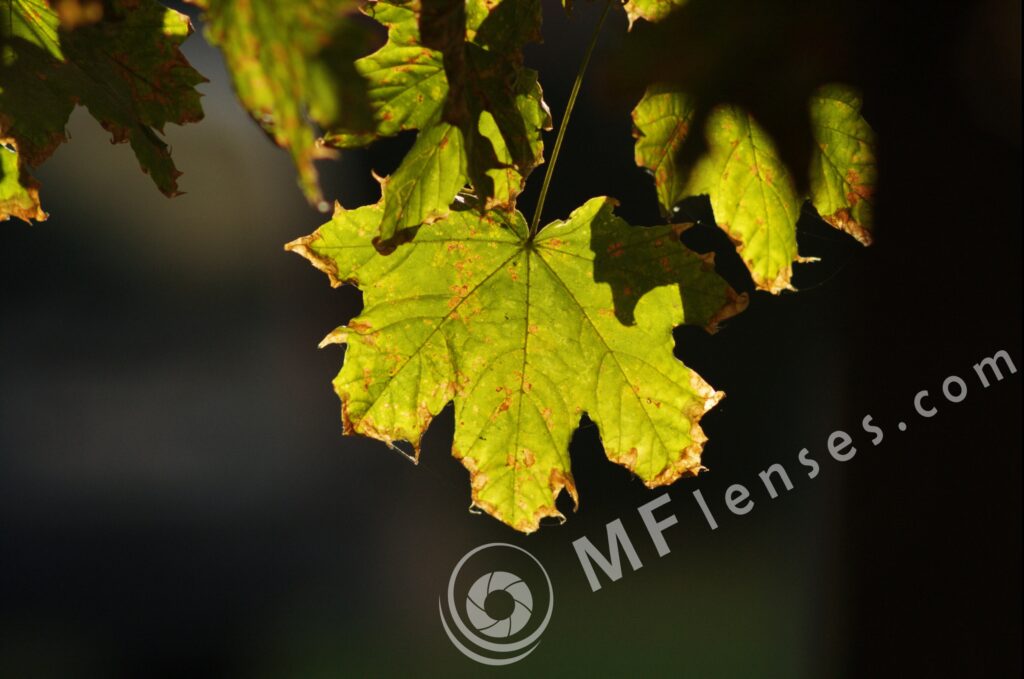 Nikkor 200mm f/4 AI-344