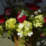 Nikon Nikkor 28mm f/3.5 AI-2715