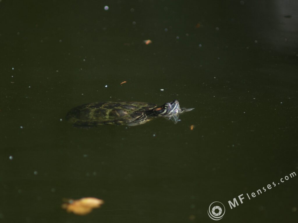 Nikon Nikkor 300mm f/4.5 ED-IF AIS-2301