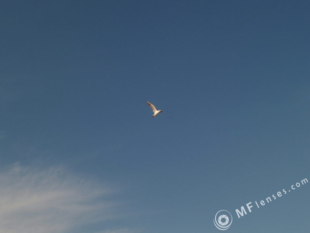 Nikon Nikkor 35mm f1.4-2551