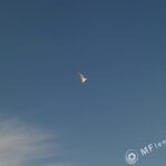 Nikon Nikkor 35mm f1.4-2551