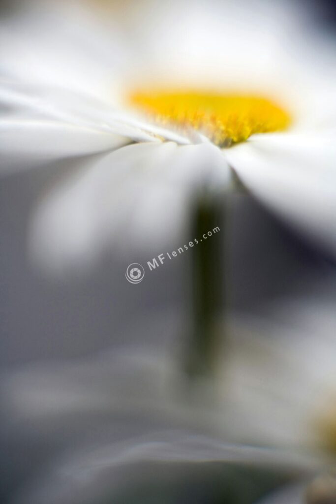 Nikkor 50mm f/1.2 AI-1198