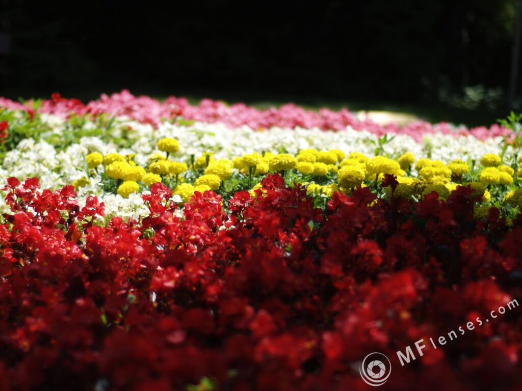 Nikon Nikkor 50mm f/1.8 AIS-2336