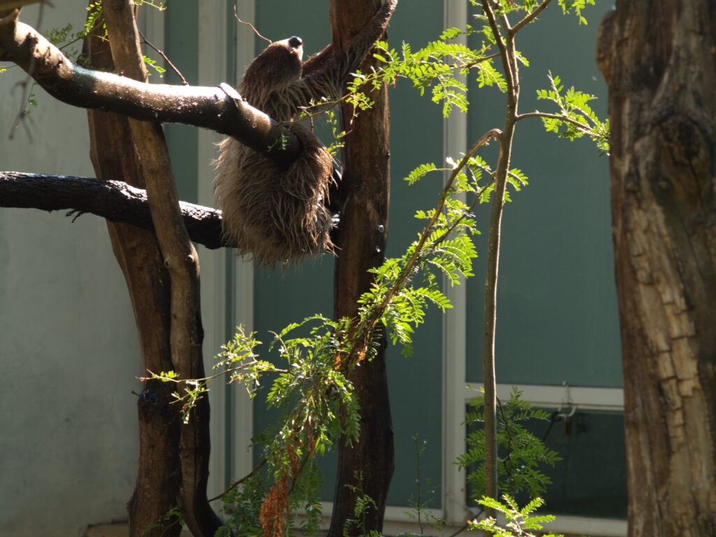 P.C Auto 105mm f/2.5 NON-AI-5277