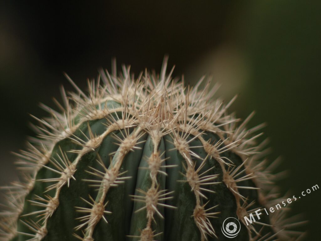 Nikon Nikkor 105mm f1.8 AIS-3808