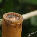 Nikon Nikkor 105mm f1.8 AIS-3812