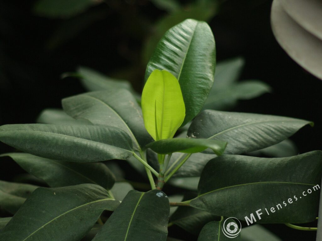 Nikon Nikkor 105mm f1.8 AIS-3815