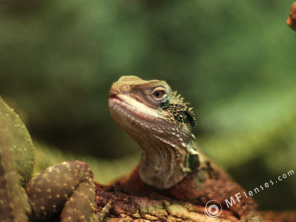Nikon Nikkor 105mm f1.8 AIS-3818