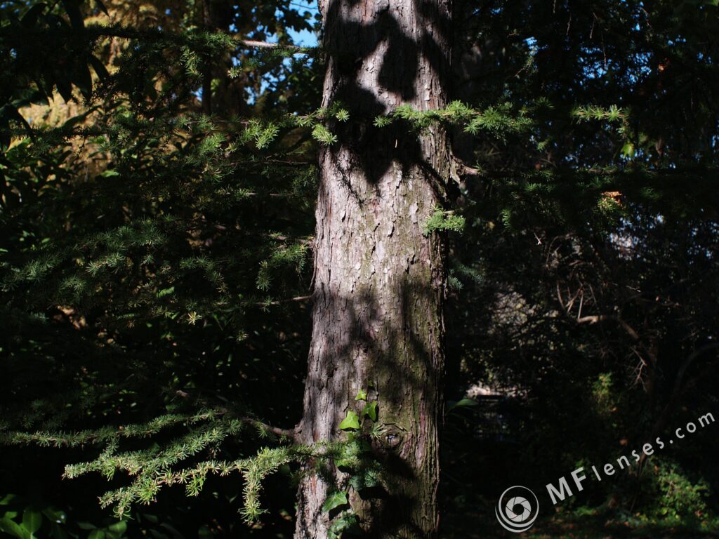 Nikon Nikkor 28mm f2.8 AIS 0.2 cm close focus-3344