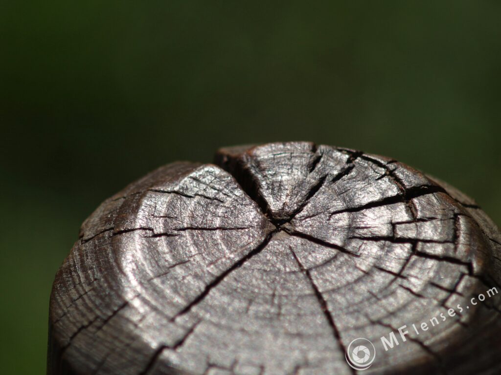 Nikon Micro Nikkor 200mm f4 AIS-3066