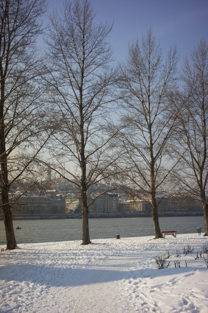 Nikkor 2,8cm f2.8 RF Contax/Nikon-12665