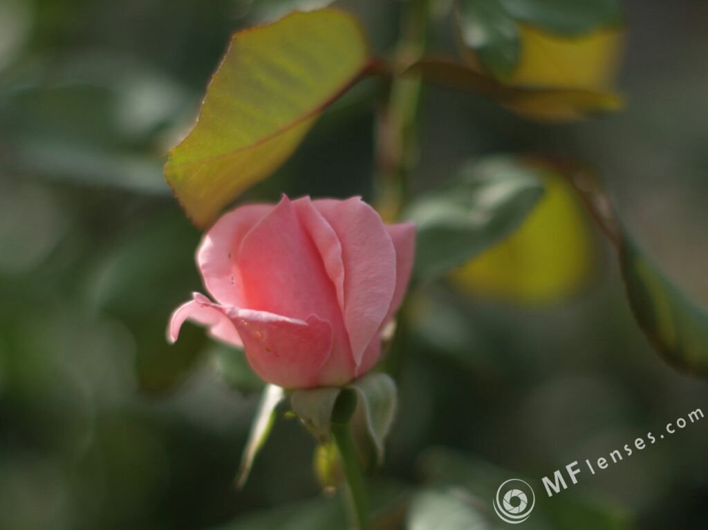 1.2/50mm AIS-2583