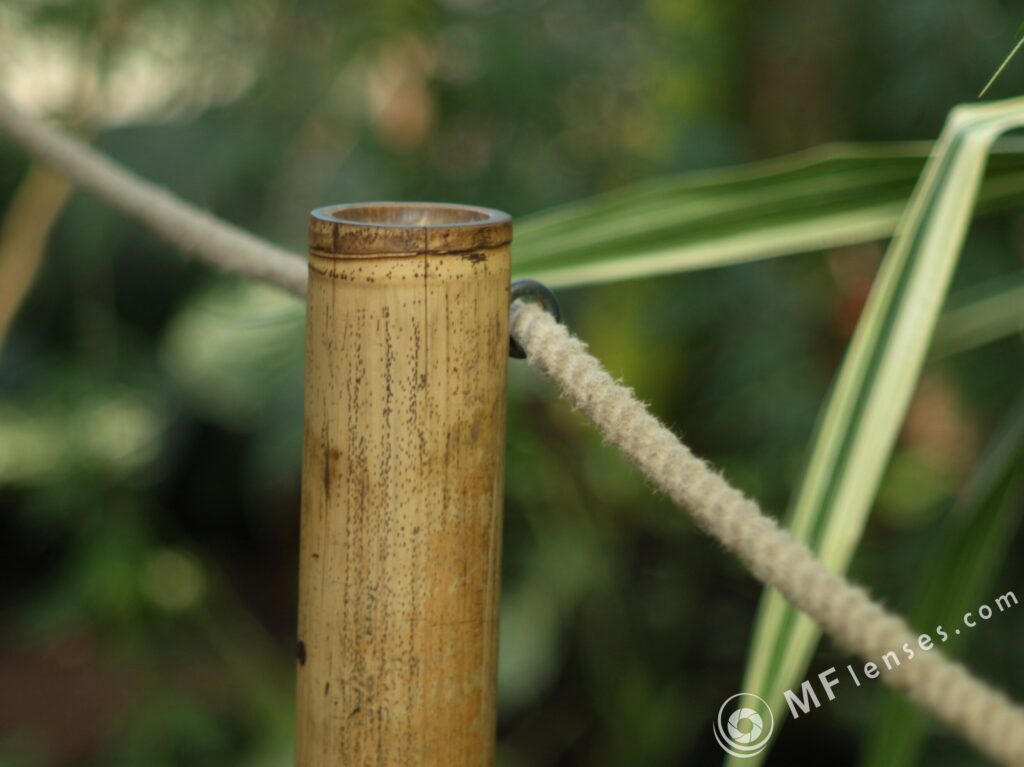 Nikon-Nikkor 85mm f2 AIS-2612