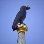 Chinon 300mm f5.6 mirror-11593