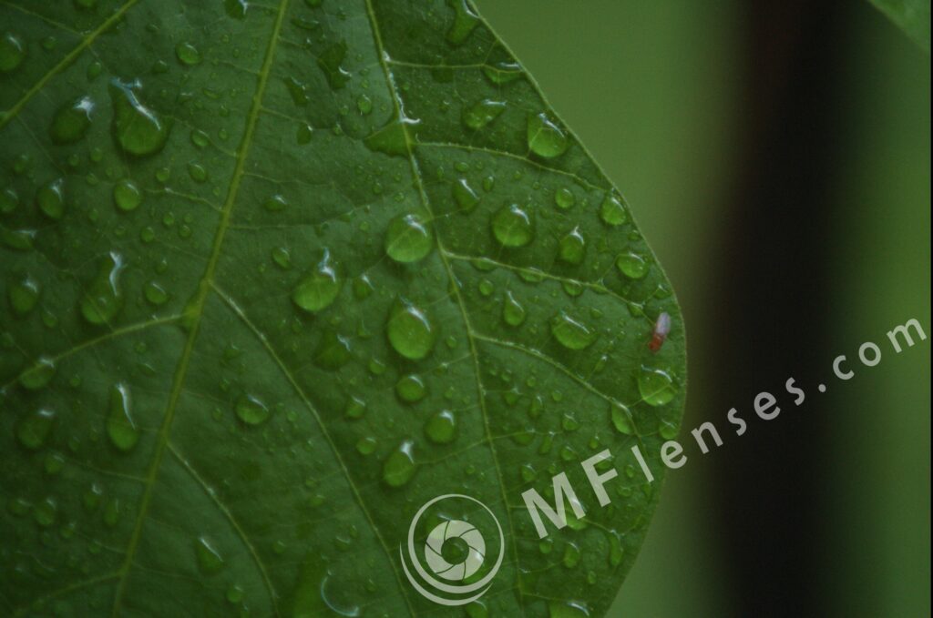 Compact Zoom 70-210 f/4.0-5.6 MC macro 1:4-232