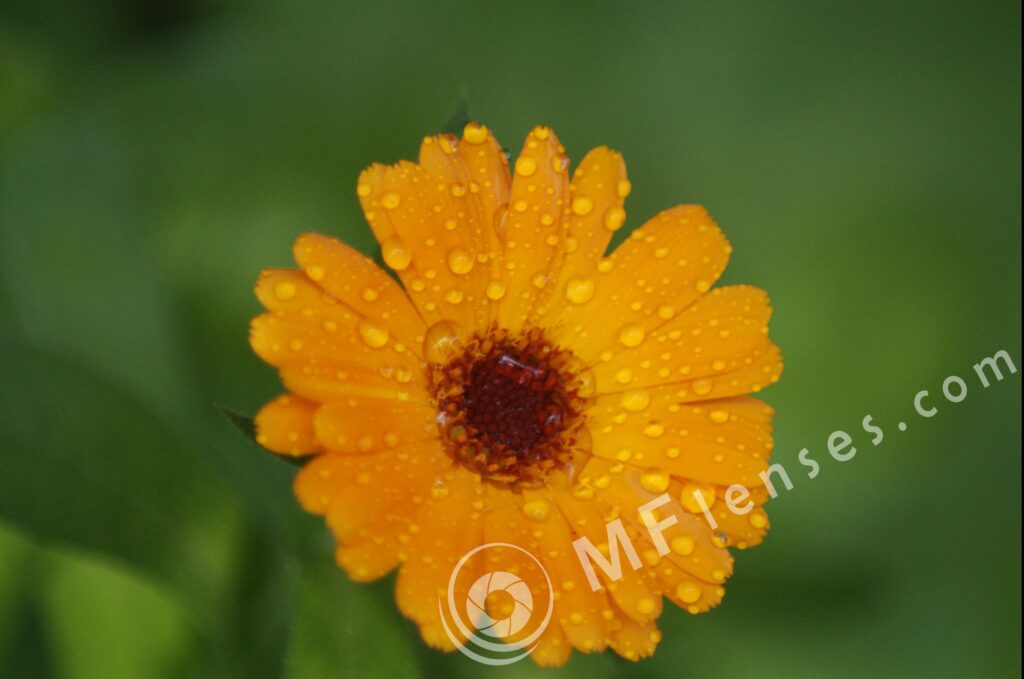 Compact Zoom 70-210 f/4.0-5.6 MC macro 1:4-233