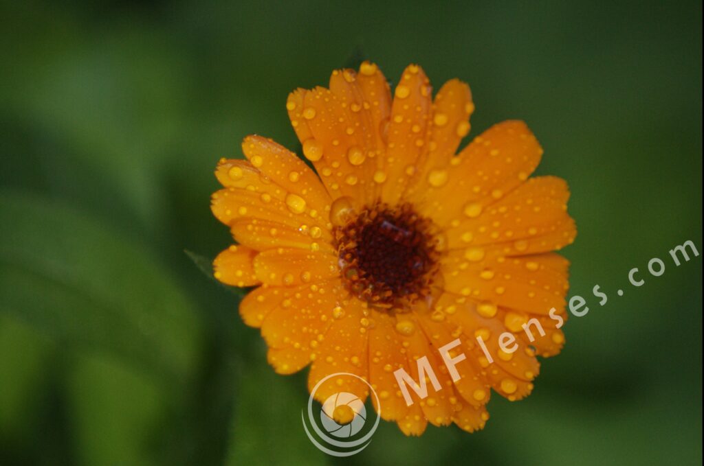 Compact Zoom 70-210 f/4.0-5.6 MC macro 1:4-234