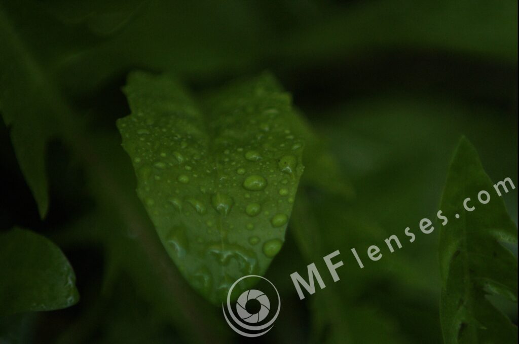 Compact Zoom 70-210 f/4.0-5.6 MC macro 1:4-235