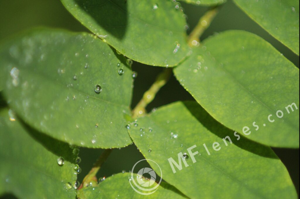 Compact Zoom 70-210 f/4.0-5.6 MC macro 1:4-236