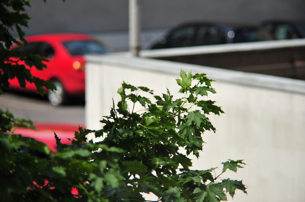 Hoya 200mm f3.5-6898