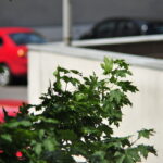 Hoya 200mm f3.5-6898