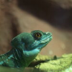 2.8/100mm macro-5479
