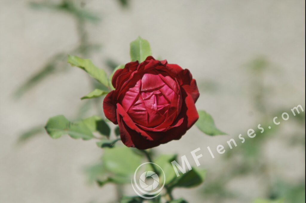 Sigma 200mm f/3,5 quick focus macro-298