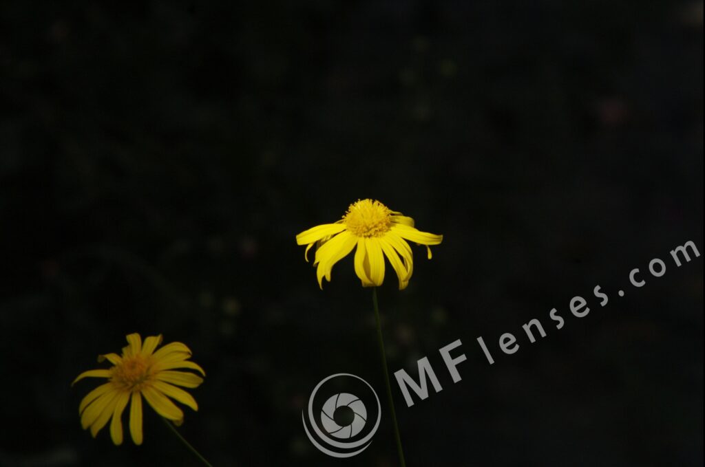 Sigma 200mm f/3,5 quick focus macro-300