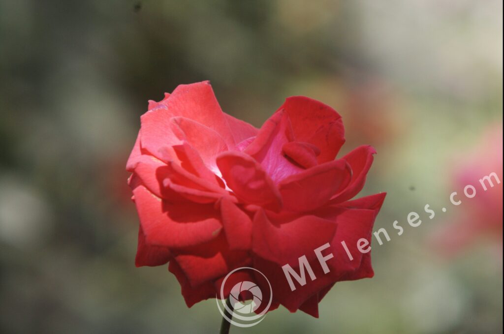 Sigma 200mm f/3,5 quick focus macro-302